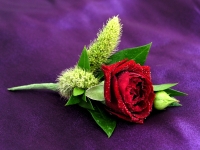 Red Rose Boutonniere