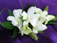 White Dendrobium Corsage