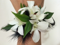 White Dendrobium Orchid Wrist Corsage with Black Feathers