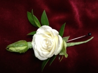 White Spray Rose Boutonniere