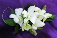 White Dendrobium Corsage