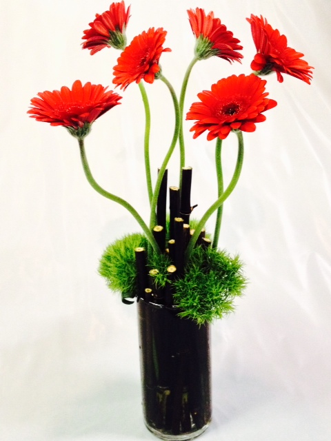 black bamboo, red daisies 2