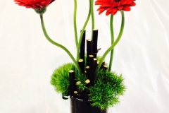 black bamboo, red daisies 2