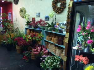 shop view with clay pots