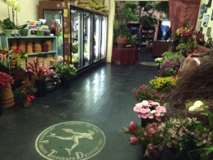 shop view towards the door